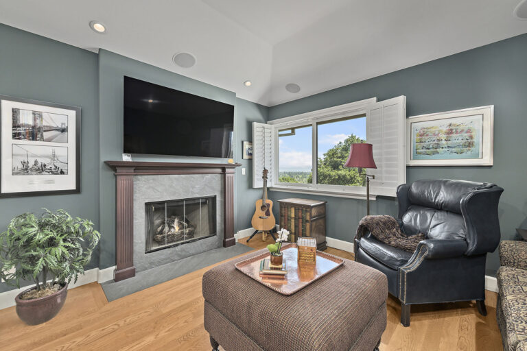 Library with fireplace